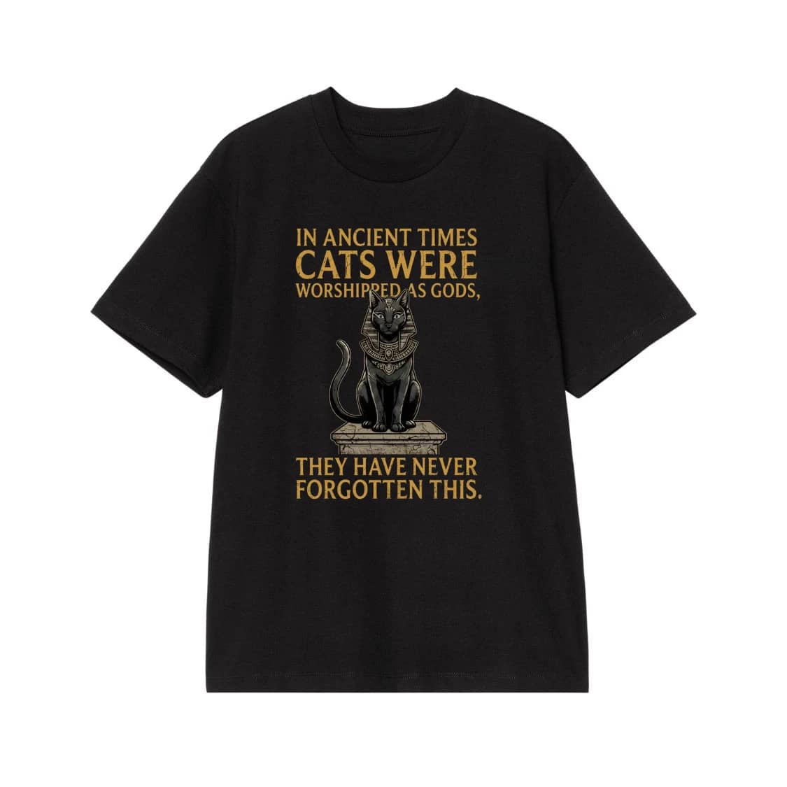 In Ancient Times Cats Were Worshipped As Gods Funny Egyptian Cat Quote