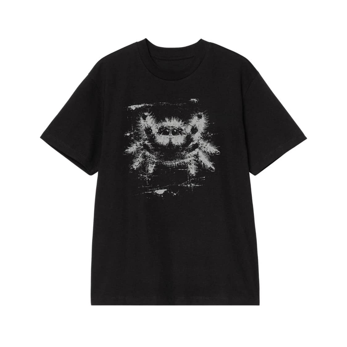 Distressed Graphic Of A Hairy Jumping Spider