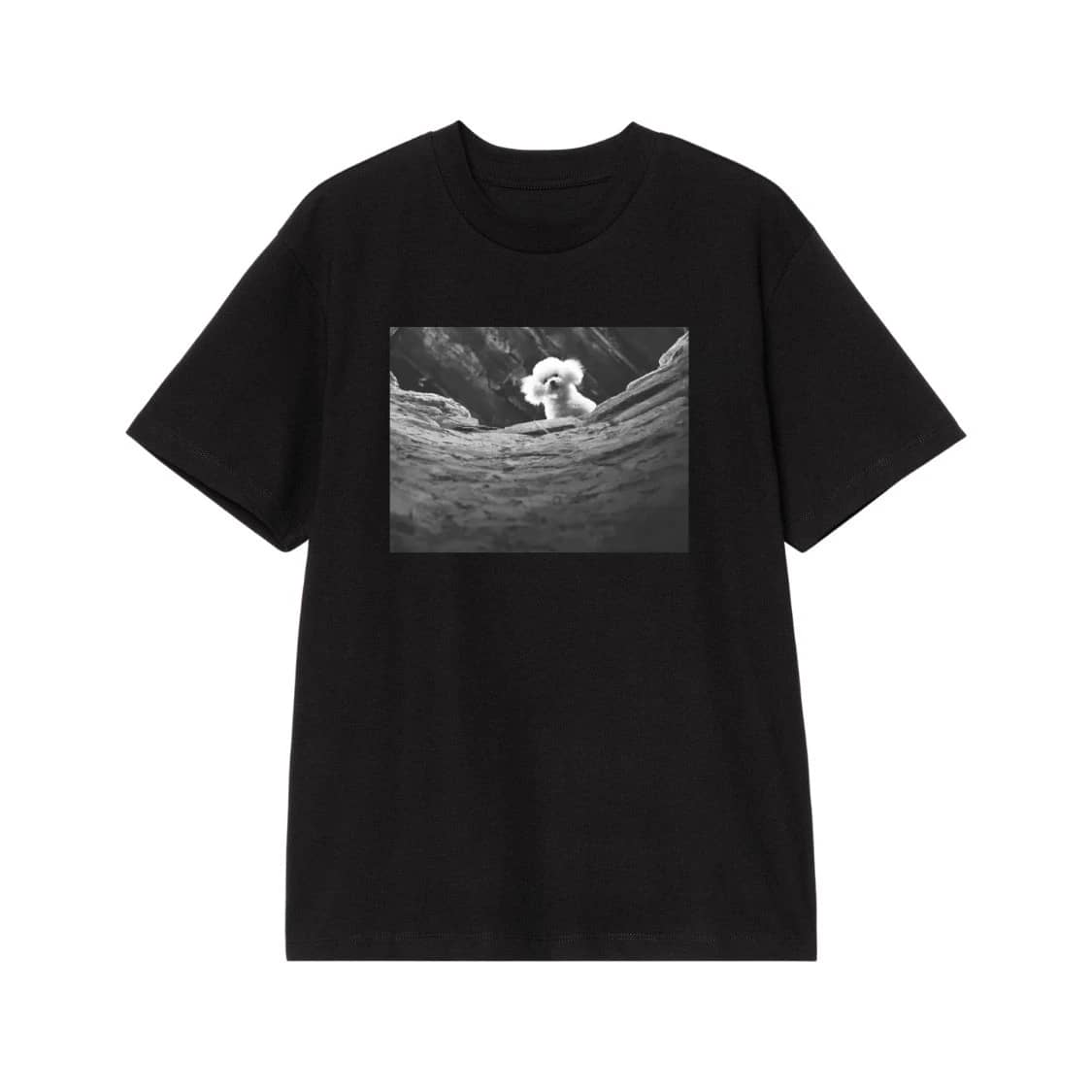 Cute Fluffy Poodle Dog Peeking Over Rocks Black And White Photo T-Shirt