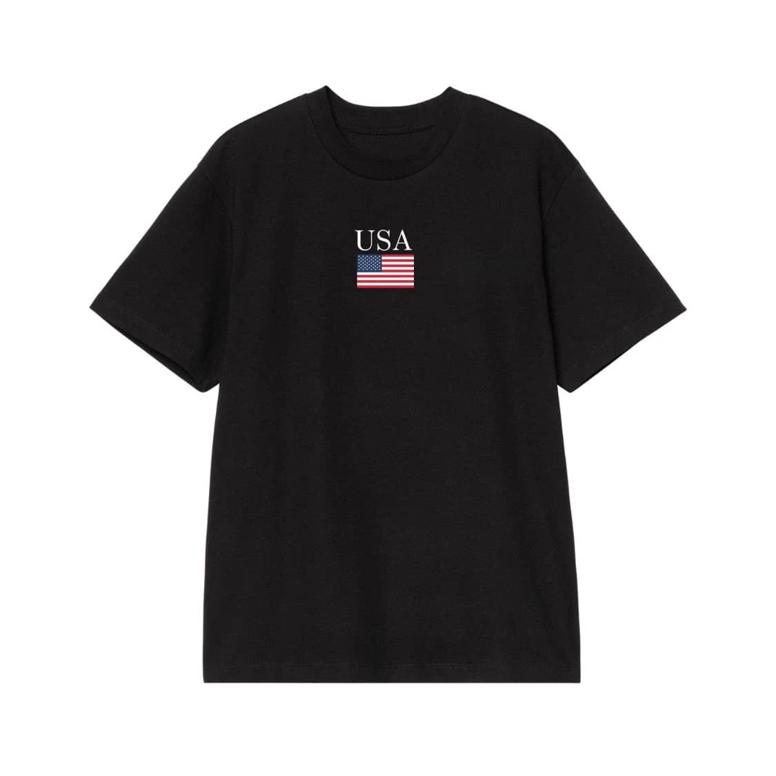 Usa Text And American Flag Minimalist T-Shirt