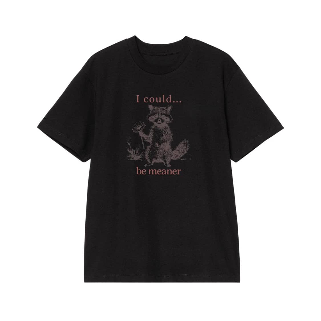 Funny Sarcastic Raccoon 'I Could Be Meaner' T-Shirt