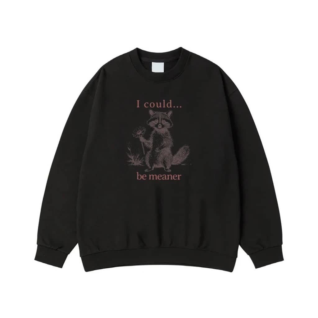 Funny Sarcastic Raccoon 'I Could Be Meaner' T-Shirt