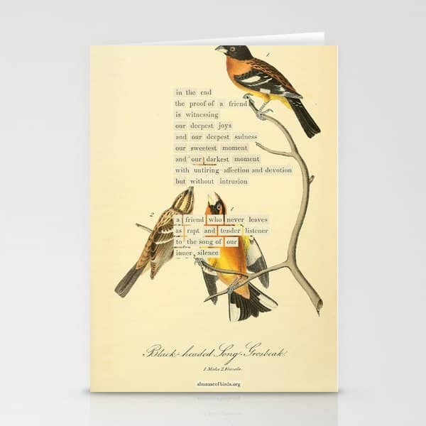 Bird Divinations: Black-Headed Song-Grosbeak (About: Almanacofbirds.Org)  Stationery Card