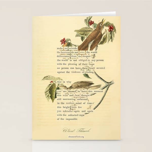Wood Thrush Divination From # An Almanac Of Birds # Divinations For Uncertain Days Art Print Stationery Card