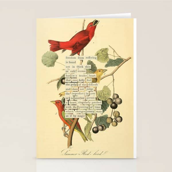 Bird Divinations: Summer Red-Bird (About: Almanacofbirds.Org)  Stationery Card