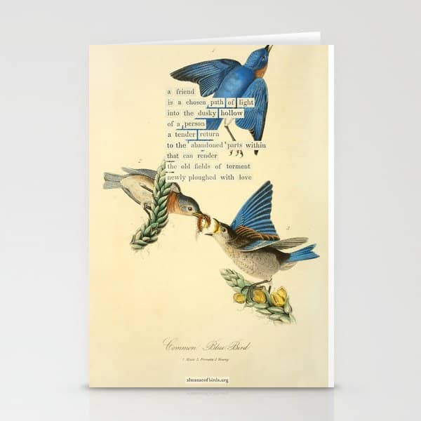 Bird Divinations: Blue Bird (About: Almanacofbirds.Org) Stationery Card