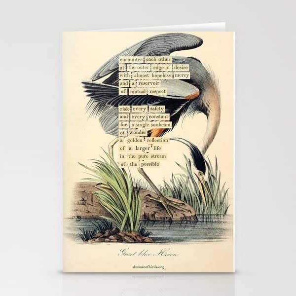 Bird Divinations: Great Blue Heron (About: Almanacofbirds.Org) Stationery Card