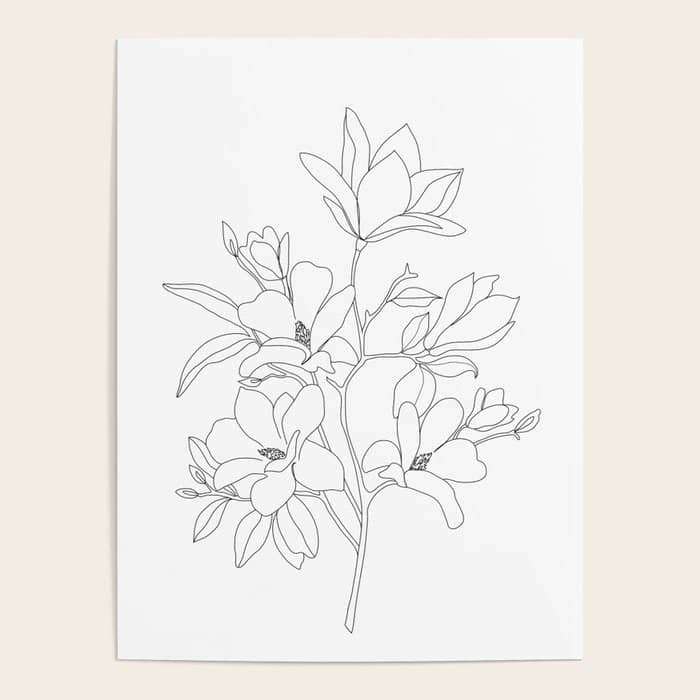 Minimal Line Art Magnolia Flowers Poster