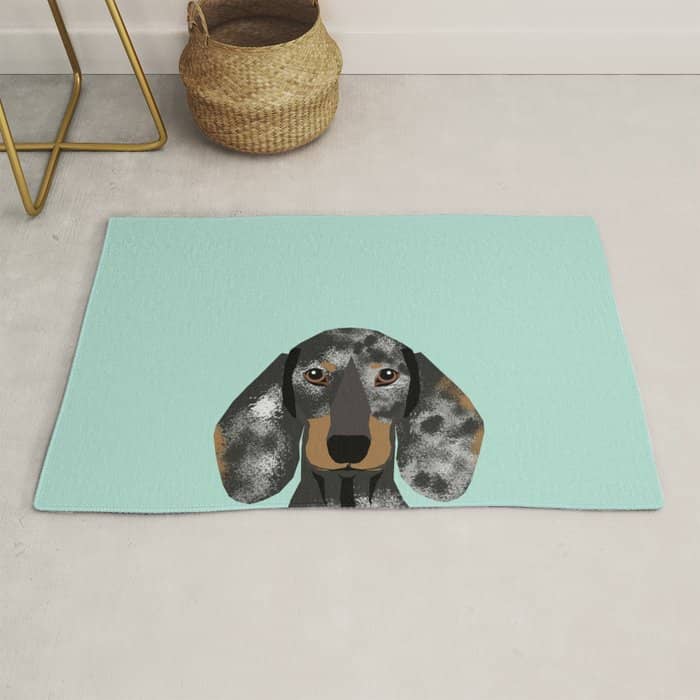 Doxie Dachshund Merle Dapple Dog Cute Must Have Dog Accessories Dog Gifts Cute Doxies Dachshunds Des Rug