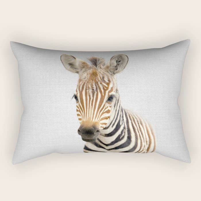 Baby Zebra - Colorful Rectangular Pillow
