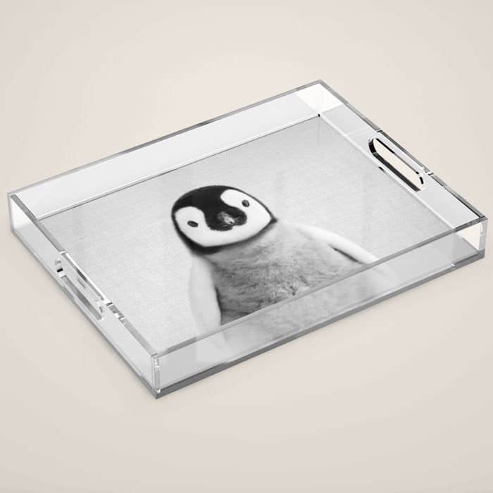 Baby Penguin - Black & White Acrylic Tray