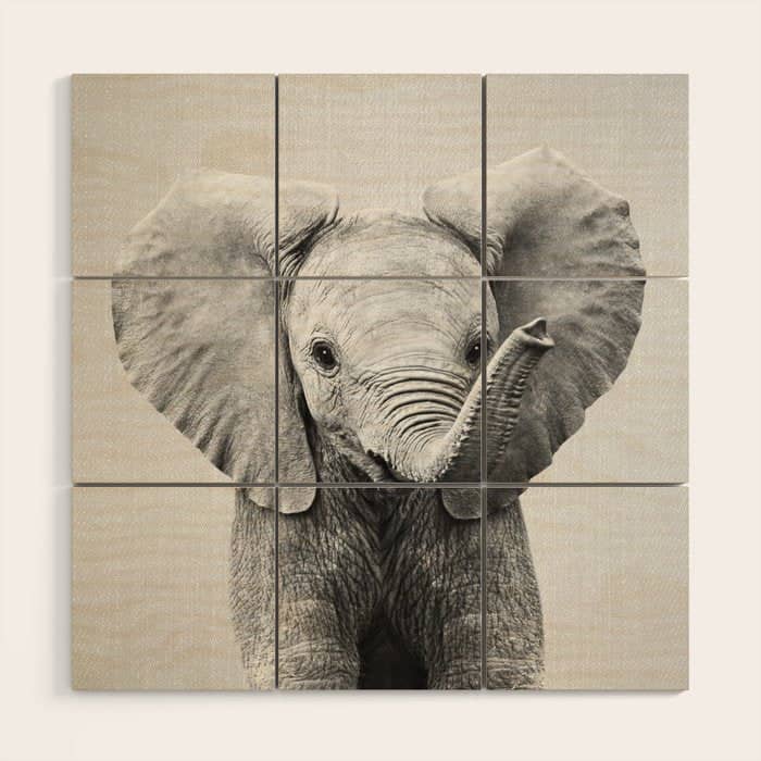 Baby Elephant - Black & White Wood Wall Art