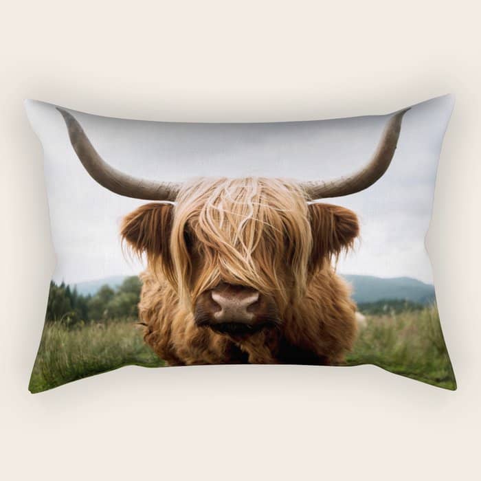 Scottish Highland Cattle Portrait Rectangular Pillow