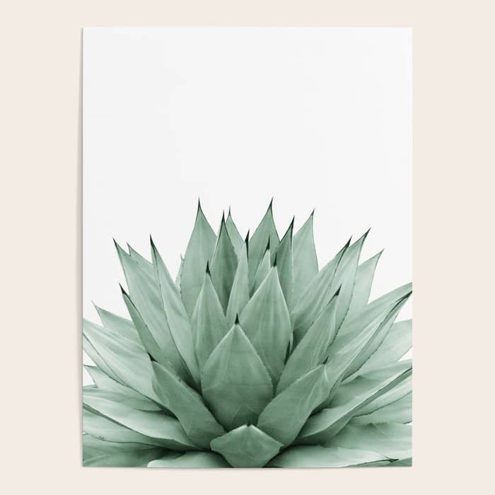 Agave Green Summer Vibes #1 #Tropical #Decor #Art #Homestorie Poster