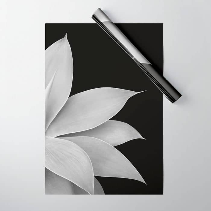 Agave Finesse #2 #Tropical #Decor #Art #Homestorie Wrapping Paper