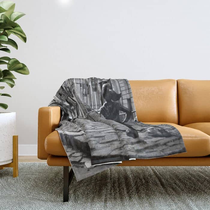 Fearless Girl And The Charging Bull Throw Blanket
