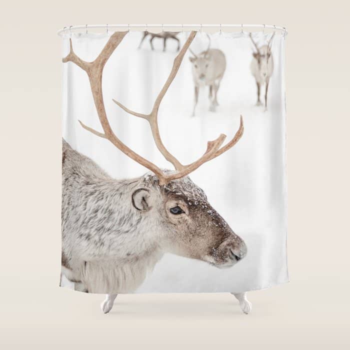 Reindeer With Antlers Art Print | Tromsø Norway Animal Snow Photo | Arctic Winter Travel Photography Shower Curtain