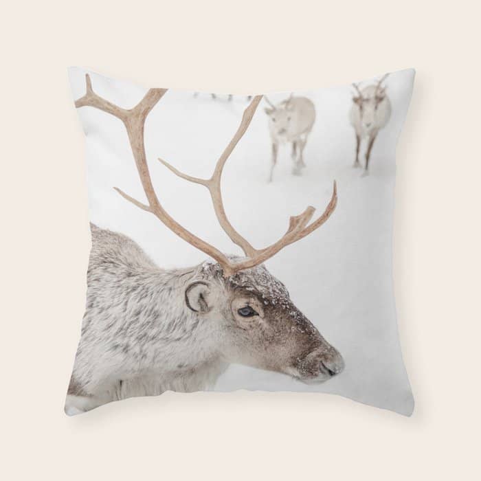 Reindeer With Antlers Art Print | Tromsø Norway Animal Snow Photo | Arctic Winter Travel Photography Throw Pillow