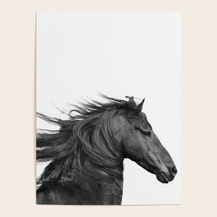 Wild Horse, Black And White Photography Poster