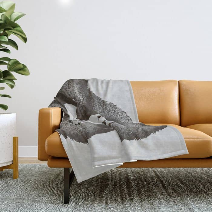 Feed Me And Tell Me I'M Pretty Bear Throw Blanket