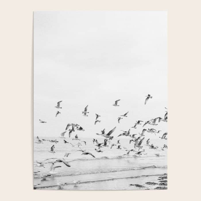 "Seagulls" | Coastal Black And White Photo | Film Photography | Beach Poster