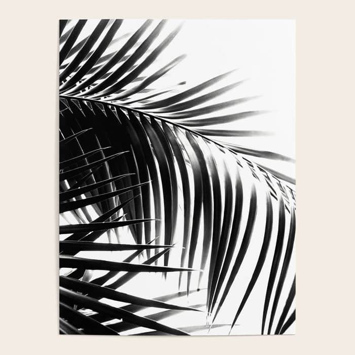 Palm Leaves Black & White Vibes #3 #Tropical #Decor #Art #Homestorie Poster