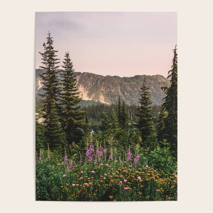 Mount Rainier Wildflower Adventure - National Park Wanderlust Poster