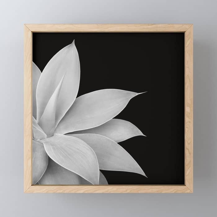 Agave Finesse #2 #Tropical #Decor #Art #Homestorie Mini Art Print