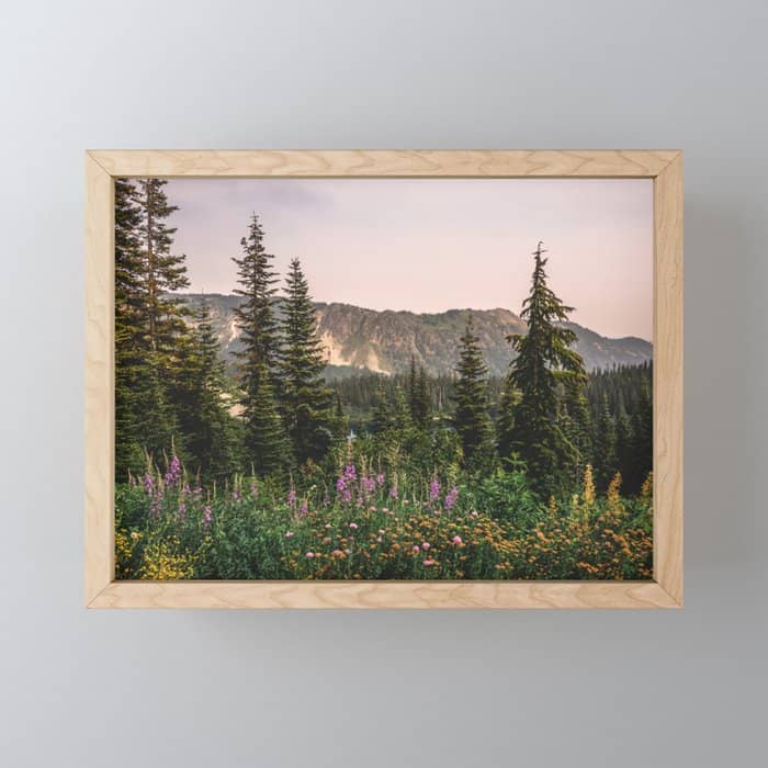 Mount Rainier Wildflower Adventure - National Park Wanderlust Mini Art Print