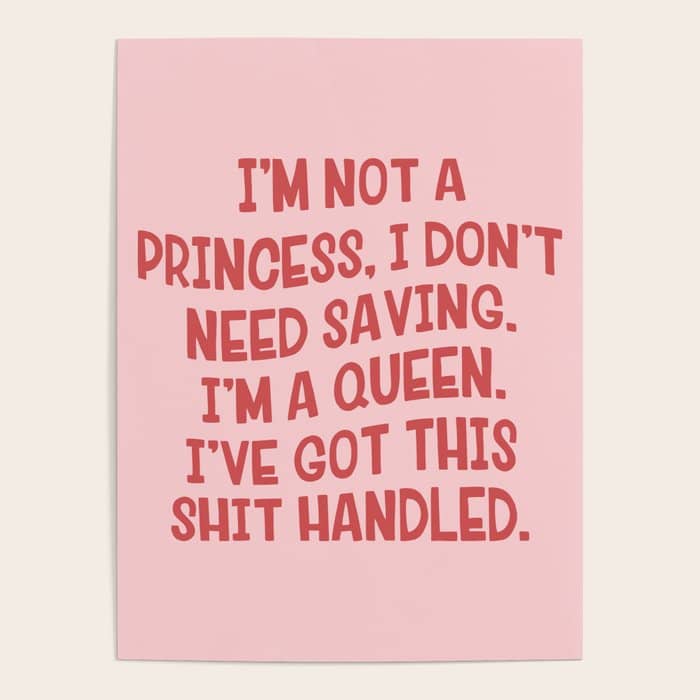 I'Ve Got This Shit Handled, Funny,  Saying Poster