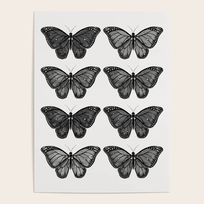 Monarch Butterfly - Black And White Poster