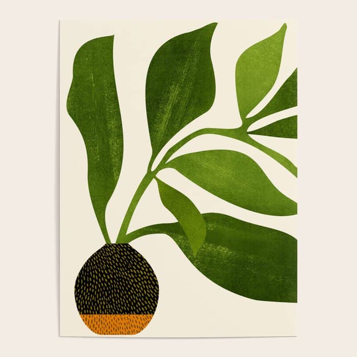 The Wanderer - House Plant Illustration Poster