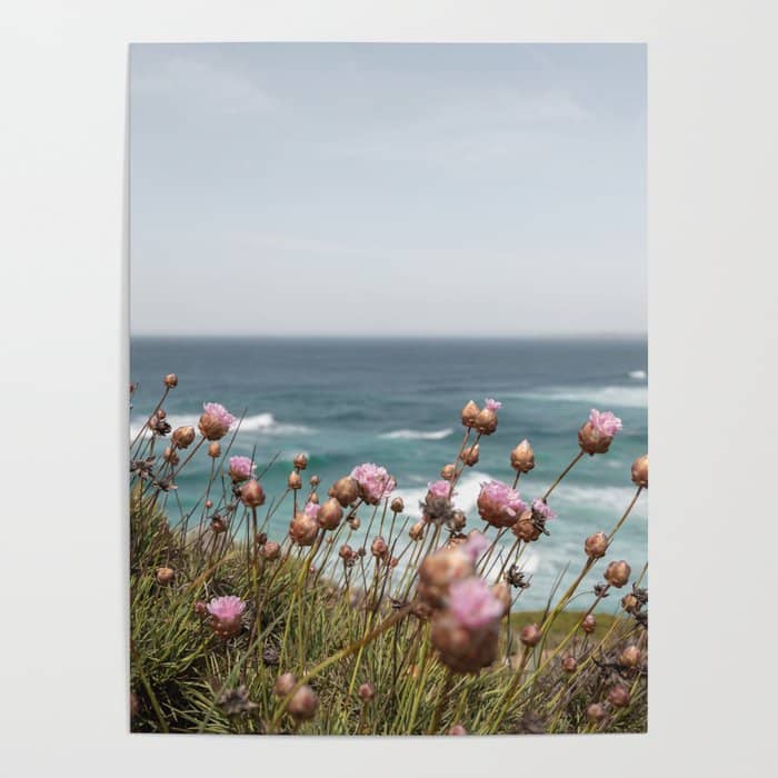Pink Flowers By The Ocean | Travel Photography In Portugal Art Print | Summer At Bordeira Beach Poster