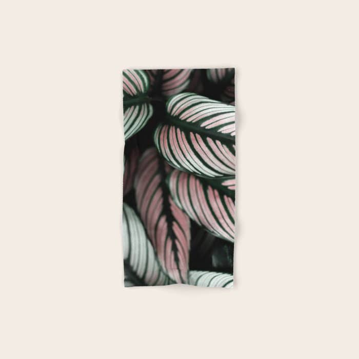 Calathea Whitestar Leaves Photography By Ingrid Beddoes  Bath Towel