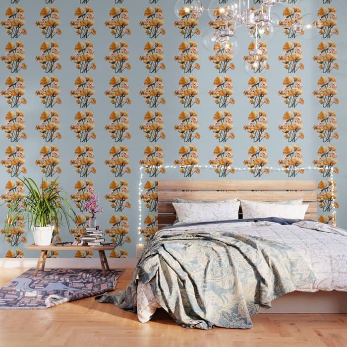 California Poppies, Spring Flowers Warm Colors, Wallpaper