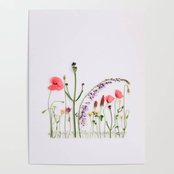 Flowers Flat Lay - Colorful Mixed Wildflowers - Poppies - Floral Poster
