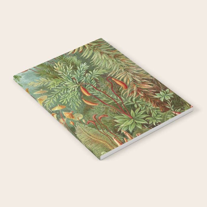Scientific Illustration Of Moss In The Forest -  Haeckel, 1904 Notebook