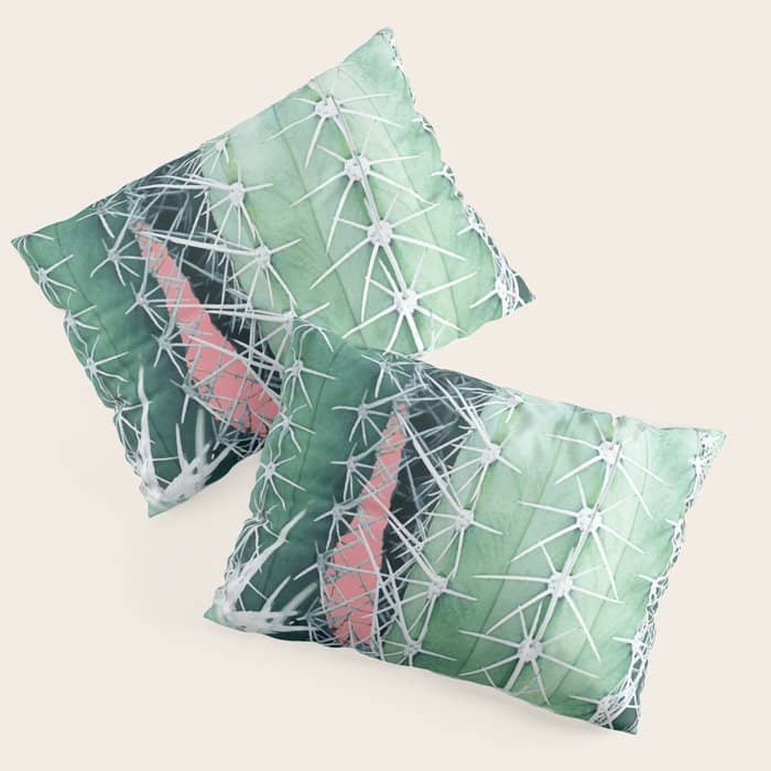 Cactus Up Close #Homestorie #Decor #Buyart Pillow Sham