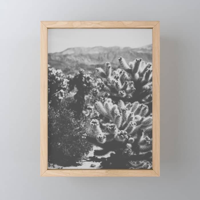 Cholla Cactus Garden (Black + White) Mini Art Print