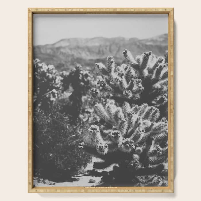 Cholla Cactus Garden (Black + White) Serving Tray