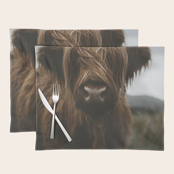 Animal Photography - Scottish Highland Cattle Placemat