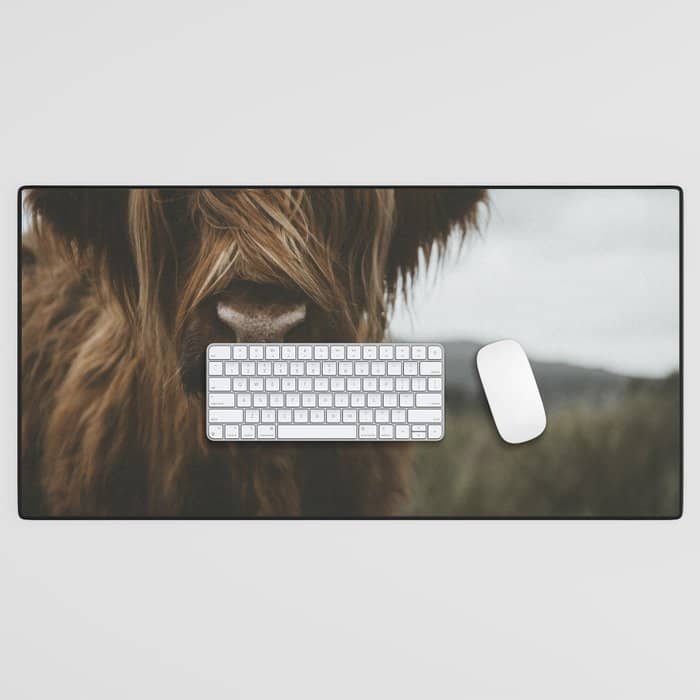 Animal Photography - Scottish Highland Cattle Desk Mat