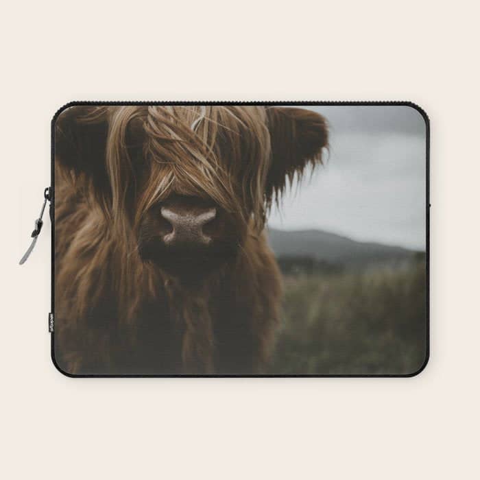 Animal Photography - Scottish Highland Cattle Laptop Sleeve