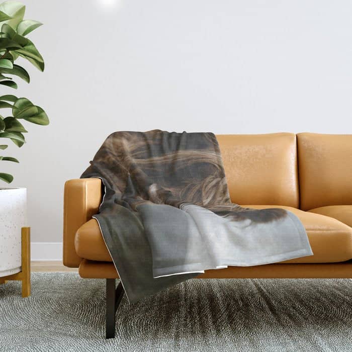Animal Photography - Scottish Highland Cattle Throw Blanket