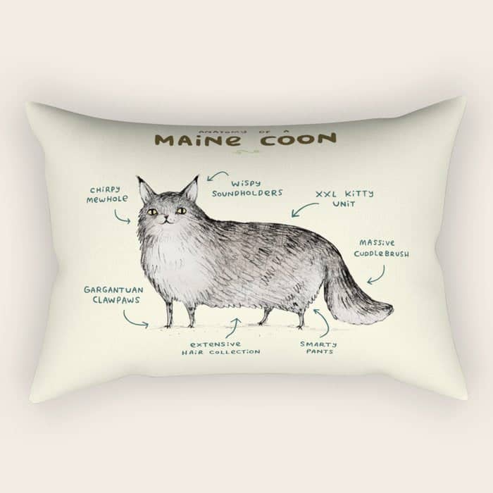 Anatomy Of A Maine Coon Rectangular Pillow