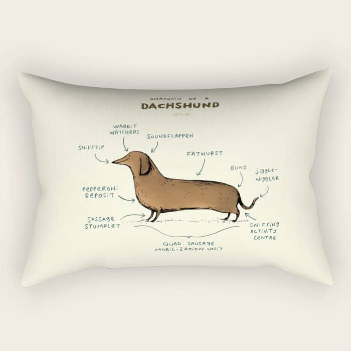 Anatomy Of A Dachshund Rectangular Pillow