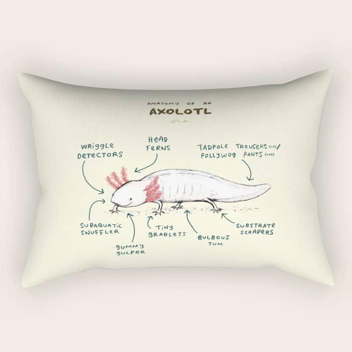 Anatomy Of An Axolotl Rectangular Pillow