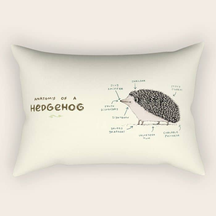 Anatomy Of A Hedgehog Rectangular Pillow