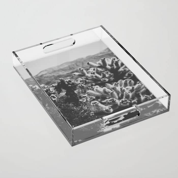 Cholla Cactus Garden (Black + White) Acrylic Tray