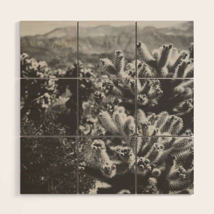 Cholla Cactus Garden (Black + White) Wood Wall Art